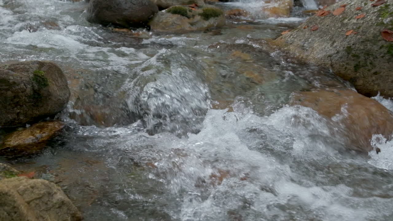 Fiume autunnale in una foresta di montagna al rallentatore con alberi dal fogliame giallo e rosso