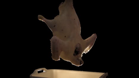hanging and drying duck