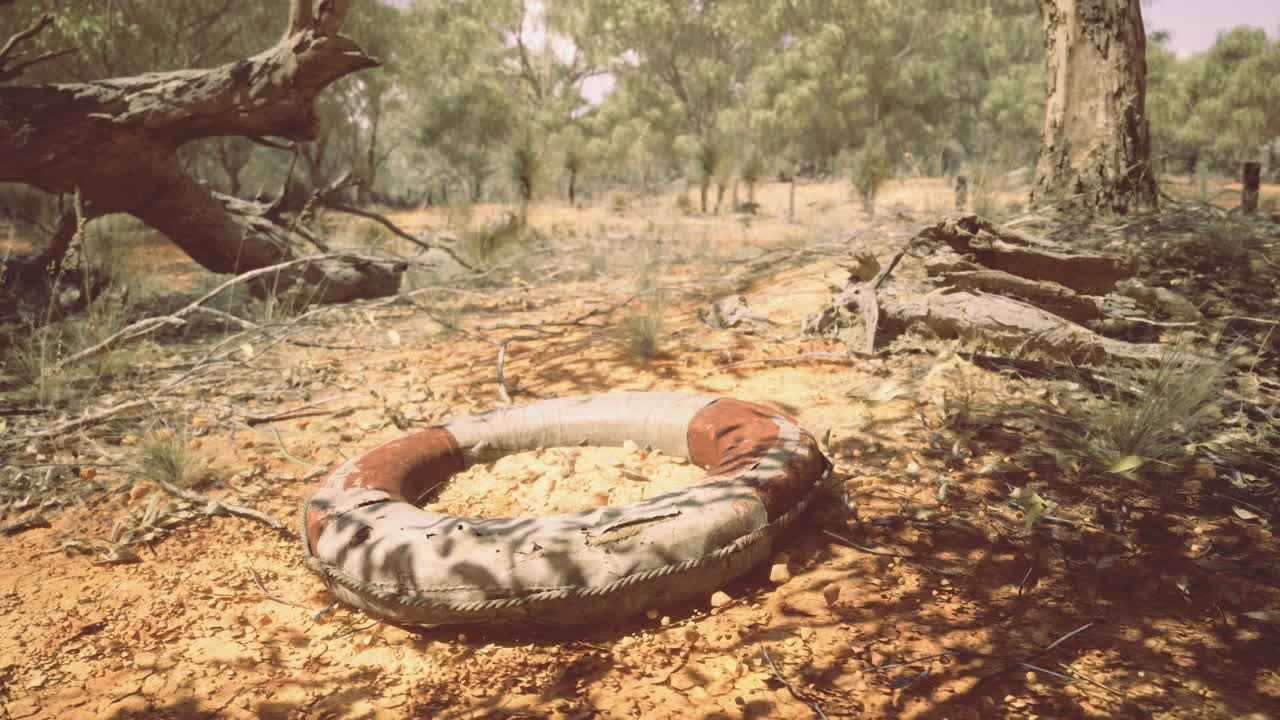 Abandoned life preserver rests on dry ground under a sunlit tree