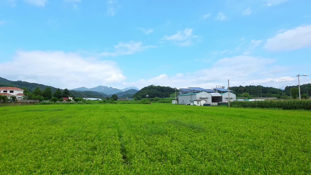 Broad view of lush rice paddies bordered by distant peaks, rustic farms and greenery in scenic Gapyeong valley landscape