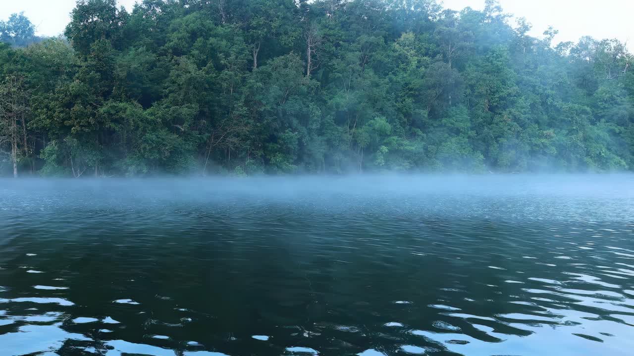 A tranquil scene of mist hovering over calm waters with a backdrop of dense green forest.
