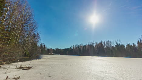 a full-day timelapse in a glade from morning til dawn showing mist of the morning to the sun setting