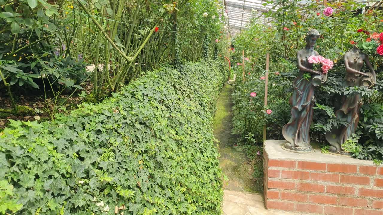 카메론 하이랜드 말레이시아의 아름다운 꽃과 풀