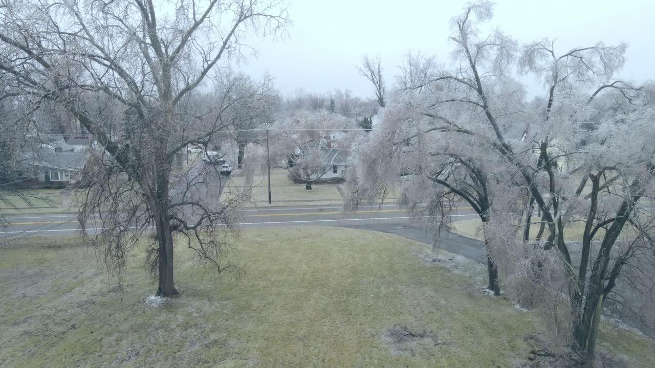 작은 마을에서 추운 겨울 날에 얼어붙은 나무, 공중 상승 전망