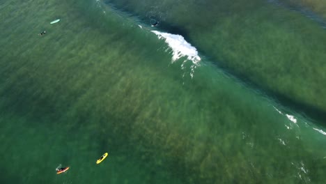 aerial view of people practicing surf on the beach of zarautz