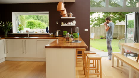 modern kitchen with garden view