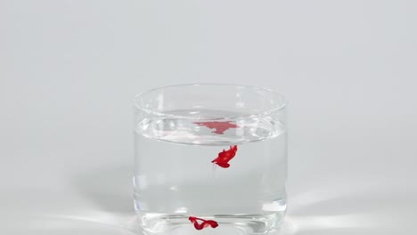 watch red dye droplets slowly descend and disperse in a glass of clear water.