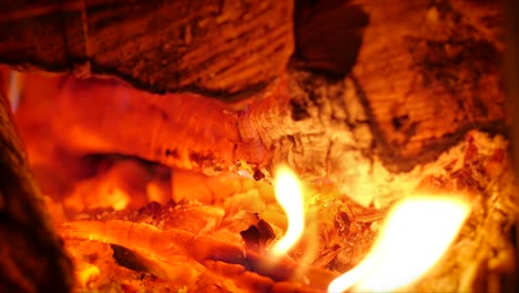 tree burns beautifully in the fireplace. male hand puts firewood in the stove. burning fire in the fireplace. 4k. medium flame fireplace loop clamp