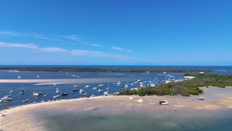 boats gather for australia day festivities