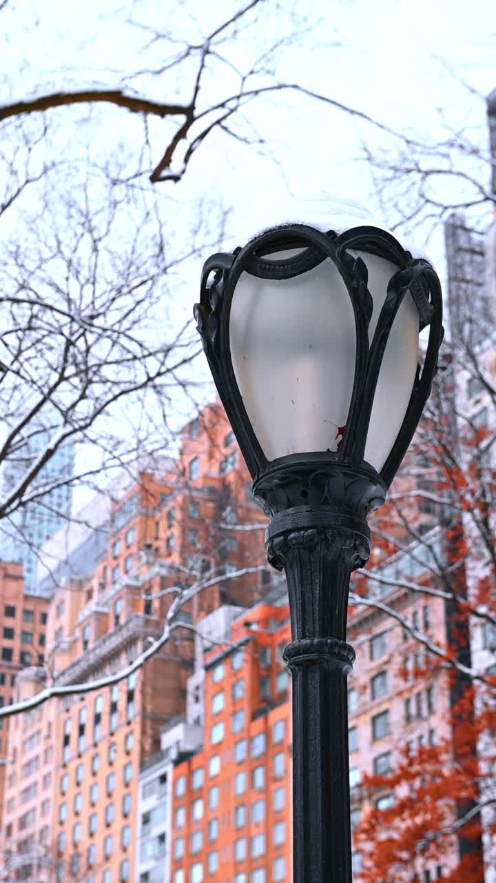 Winter lamppost in Central Park, NYC. A beautifully designed lamppost stands in Central Park, surrounded by snow and the colorful buildings of Manhattan