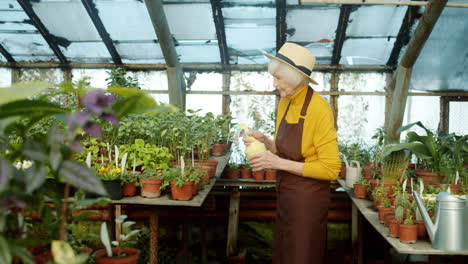 senior woman caring for plants in a greenhouse