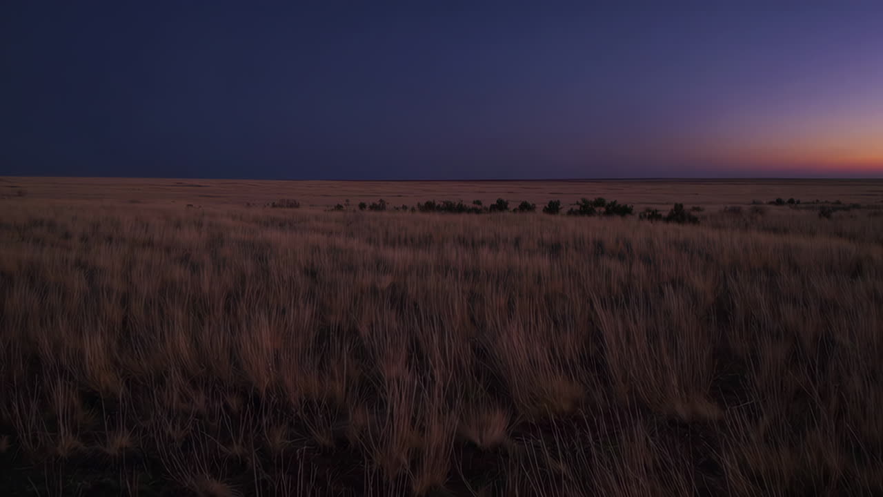Vast Prairie Landscape at Twilight