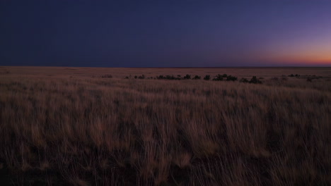 vast prairie landscape at twilight