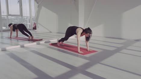 yoga and plank exercises