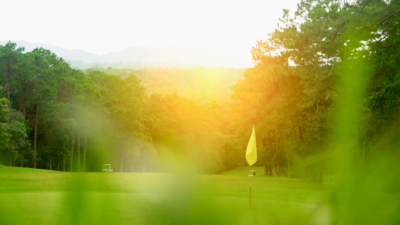 골프 컨셉: 산 위의 아름다운 골프 코스, 숲 속의 페어웨이와 레이아웃의 아름다움, 그린 골프의 발