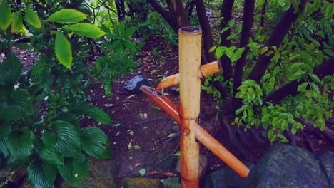 tubo de bambú japonés, se llena de agua y cuando está lleno se vacía, tradición oriental