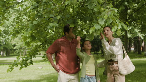 family enjoying time together under a tree in the park