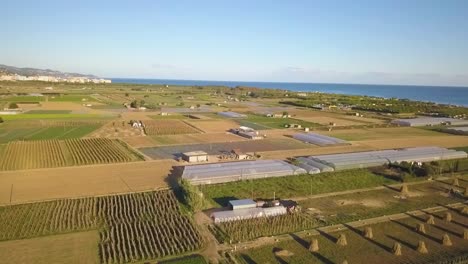 aerial images of a field of lettuce cultivation in spain europe drone green vegetables