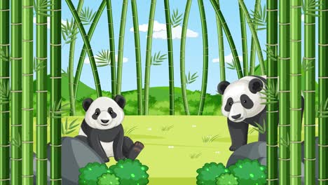 depicts the growth stages of a panda bear.