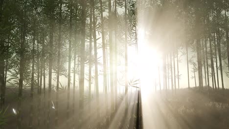 Green-bamboo-forest-in-hills