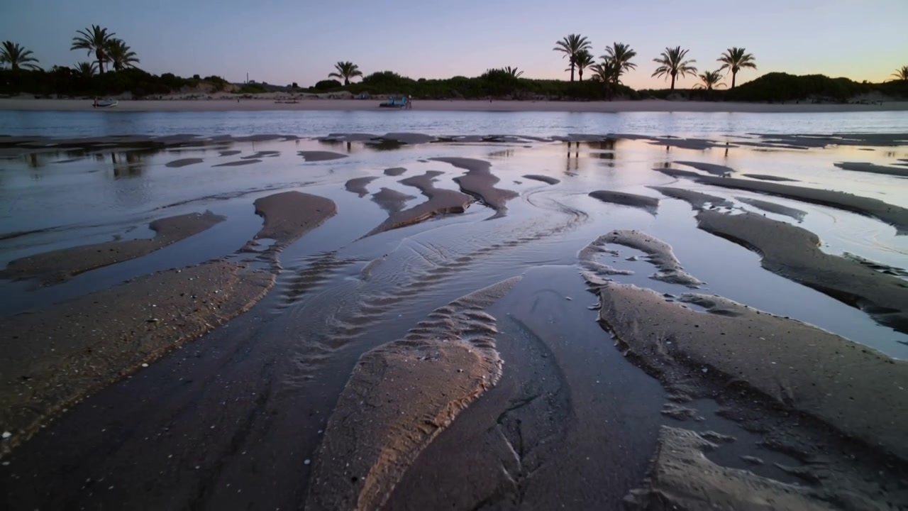 Starting close pulling back camera showing rippled wet sand tidal channels low-tide to reveal palms