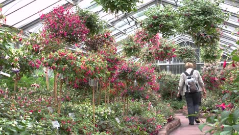 la vista de las plantas y la mujer que camina en el zoológico