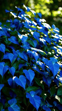 Vibrant Blue Foliage in Sunlight