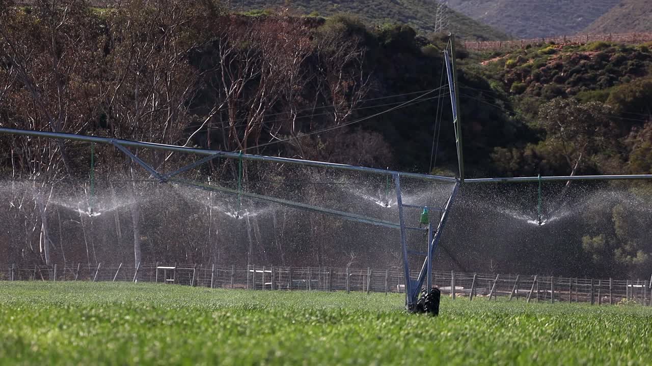 Sprinkler nozzles from irrigation pivot water green crop field, sunny