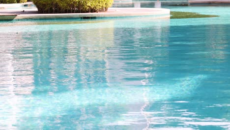 calm water surface reflecting a serene environment