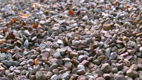 pebbles falling onto more pebbles