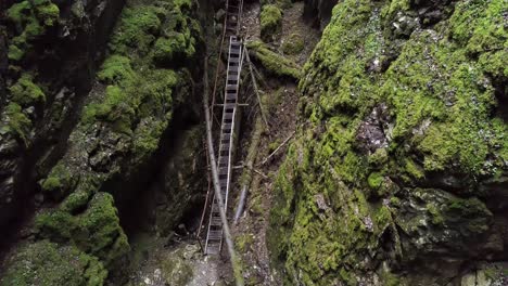 escalera oxidada a través de la cueva de musgo
