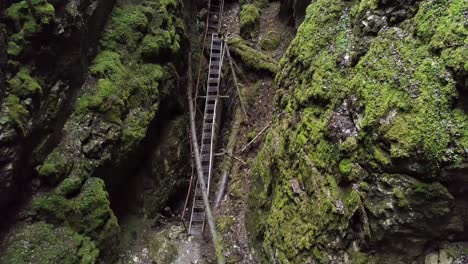 rusty stairway through mossy cave