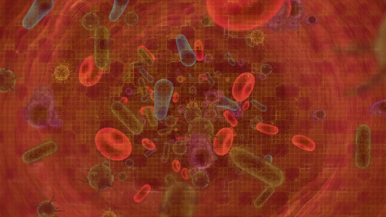 ⁇ 은 배경 위에서 움직이는 세포의 애니메이션