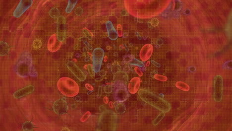 animación de células en movimiento sobre fondo rojo
