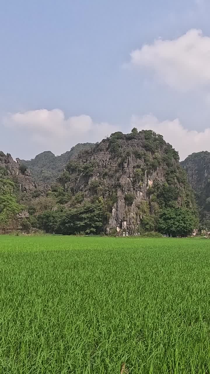 울창한 초록색 과 높은 카르스트 언덕.