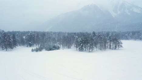 Schöner-Schneeszenenwald-Im-Winter.-Überfliegen-Von-Schneebedeckten-Kiefern.