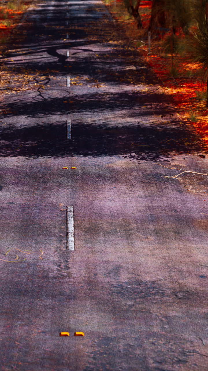 오스트레일리아 외의  빈 도로