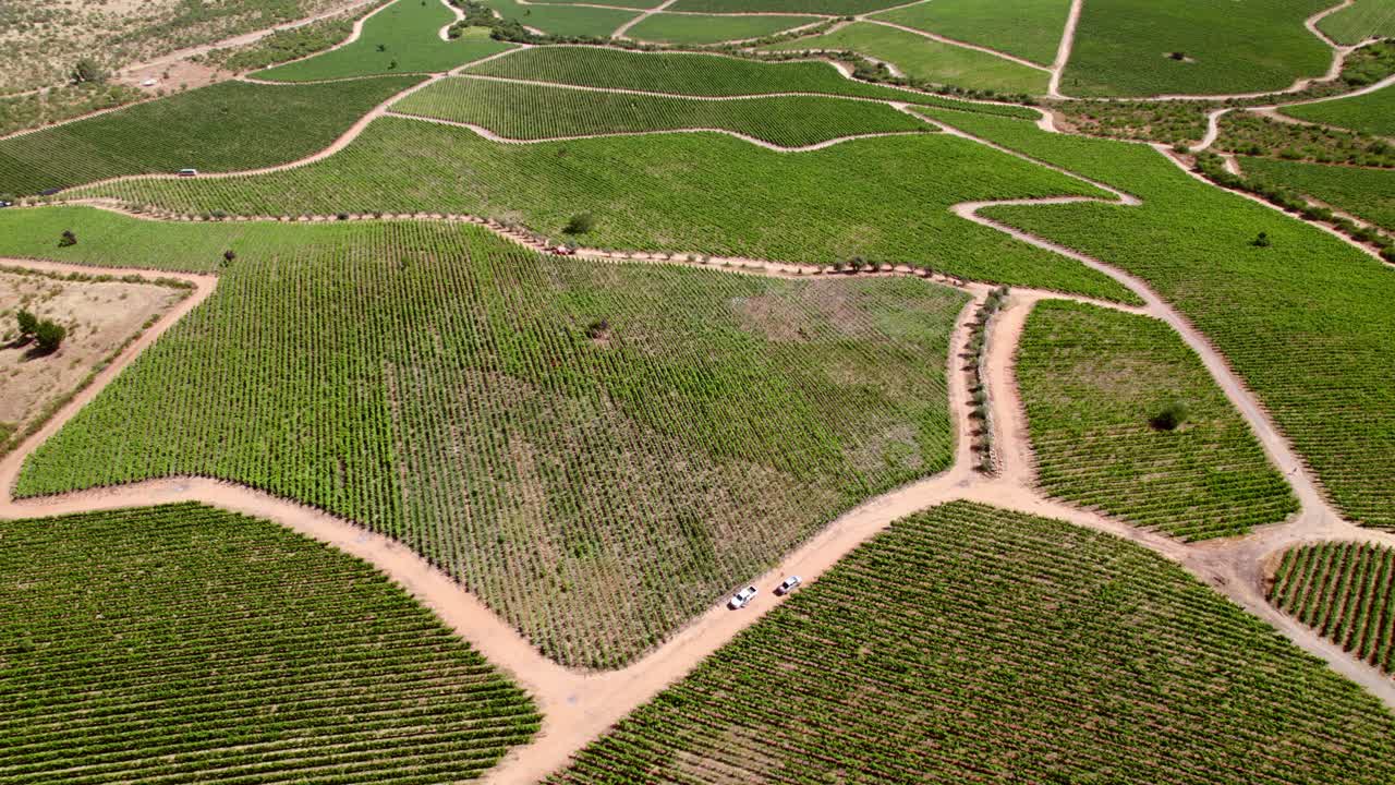 órbita aérea panorámica de dos camiones en una sección de un viñedo separada por caminos de tierra en cauquenes, valle de maule, chile