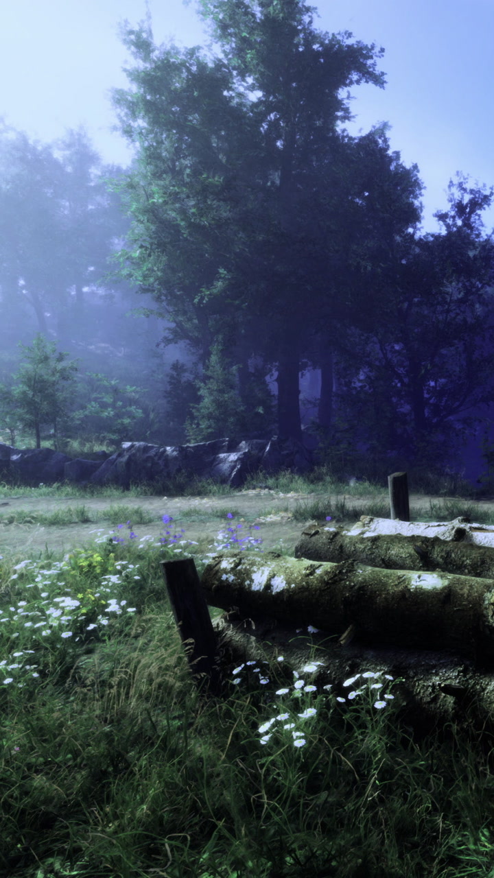 Foggy forest scene with logs and wildflowers in the early morning