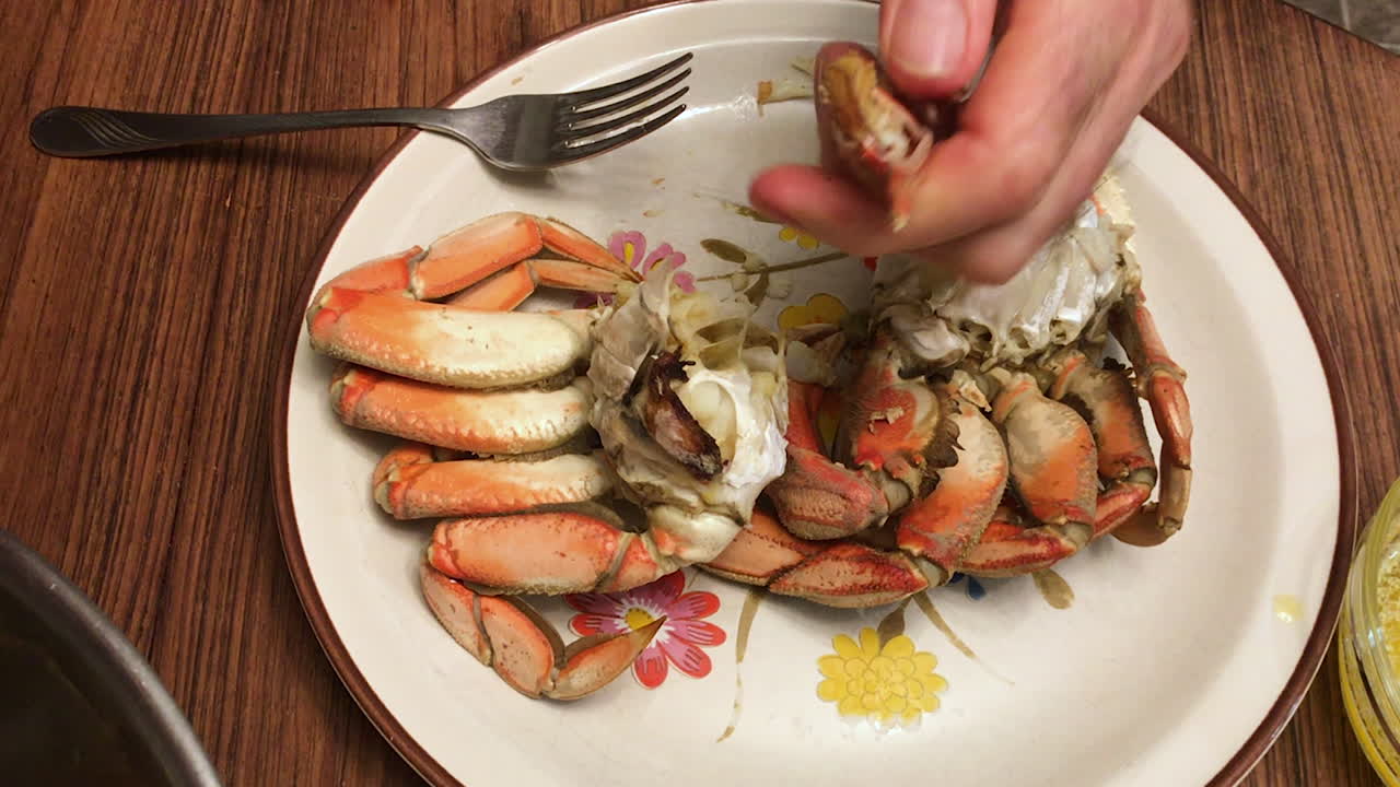 Male hands seen cracking freshly cooked Dungeness crab on a dinner plate and dipping it in butter