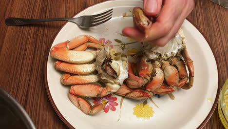 male hands seen cracking freshly cooked dungeness crab on a dinner plate and dipping it in butter