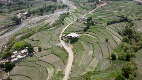 the mosque in the center of lush farm lands