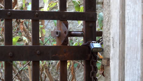 padlocked rusted iron prison door with weed-choked prison yard in background