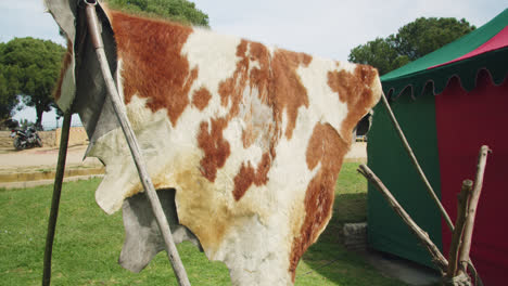 amazing slow motion shot of a cow skin hanging on a stand at a medieval fair in southern spain, andalusia