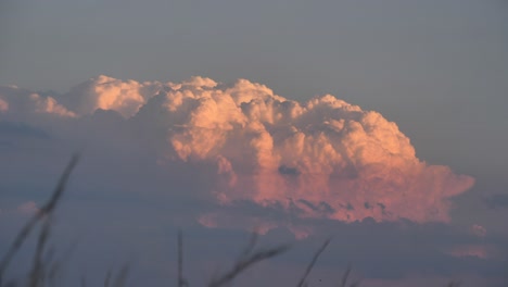 Flauschige-Rosa-Und-Violette-Cumulonimbuswolken-Mit-Sanft-Schwankendem-Gras-Bei-Sonnenuntergang