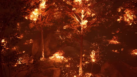 large flames of forest fire at night