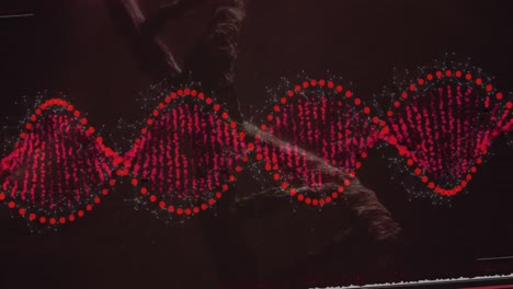 Animación-De-La-Cadena-De-ADN-Sobre-El-Procesamiento-De-Datos-Científicos.