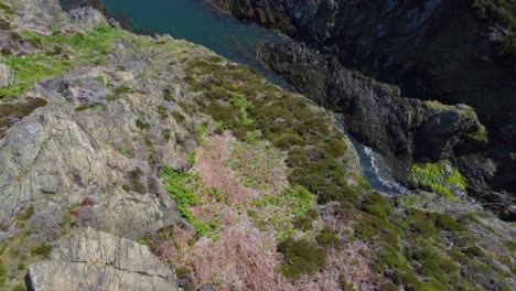 Friedlich-Amlwch-Anglesey-Nordwales-Zerklüftete-Bergküstenwanderweg-Luftaufnahme-Von-Oben-Nach-Unten-Steigend