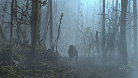 Enfoque-De-Silueta-De-Dinosaurio-Aterrador-En-Bosques-De-Niebla-Espeluznantes,-Temporada-De-Otoño