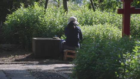 botanist sitting on stool tending plants on a sunny spring day in tokyo, japan